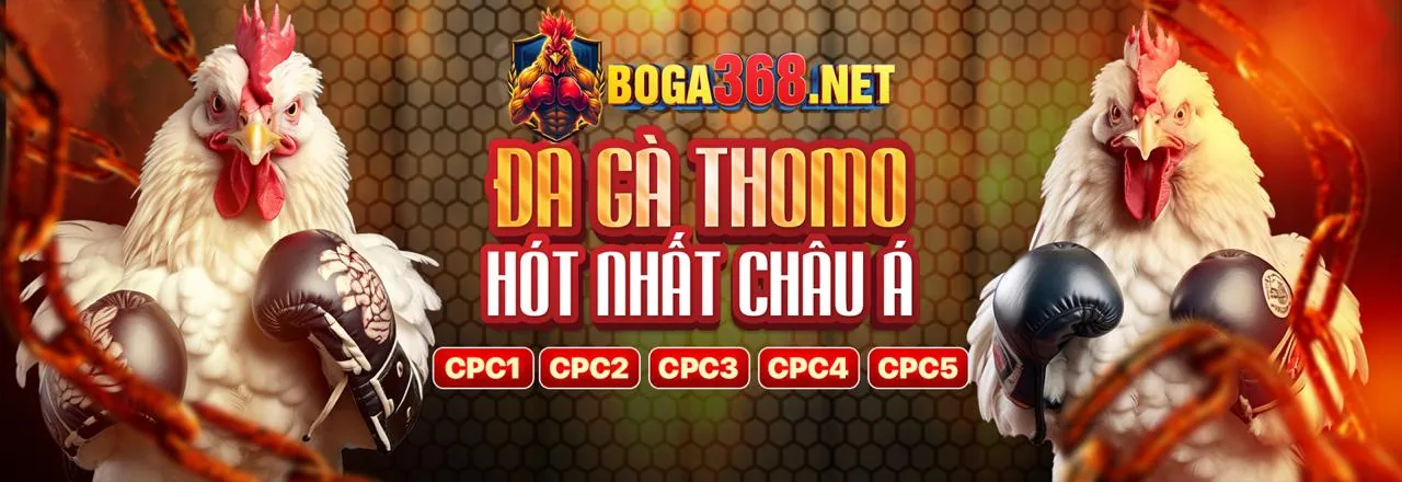 Sân đấu đá gà trực tuyến sôi động tại Gà 88
